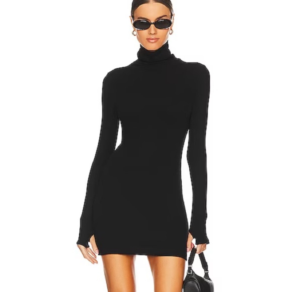 Abercrombie and Fitch Turtleneck Dress